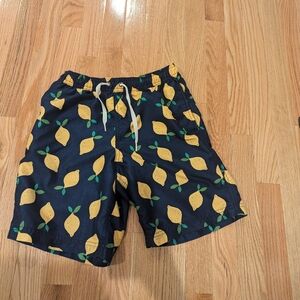 Hannah Andersson swimsuit lemons